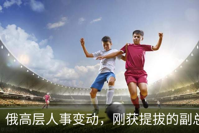 俄高层人事变动,刚获提拔的副总理,接掌了普京的“尚方宝剑”