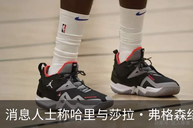 消息人士称哈里与莎拉·弗格森结成"秘密同盟"